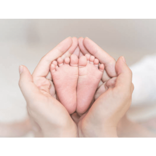 Baby Portraits