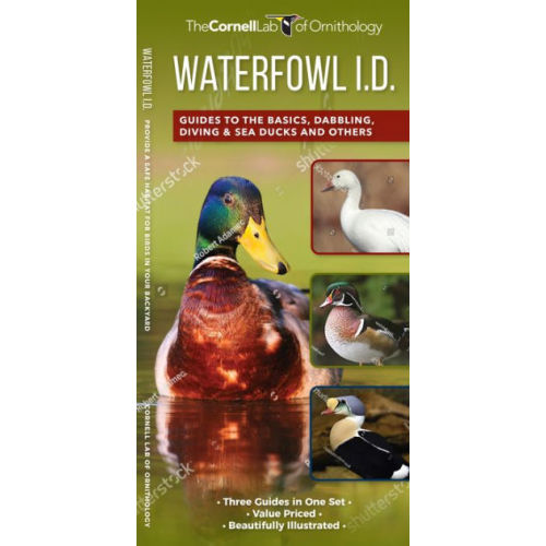 Waterfowl ID Set: A Complete Supplement to Indentify Waterfowl Based on "Where's the white?" by Kevin J. McGowan, Other Format | Barnes & Noble®