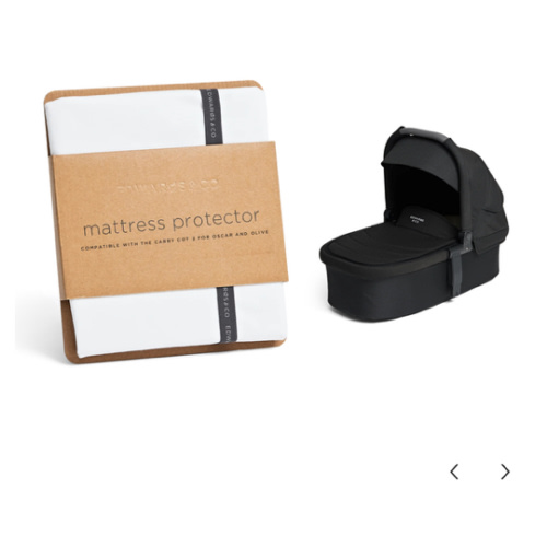 Keep Your Carry Cot Fresh and Clean with a Mattress Protector! – Edwards & Co Australia
