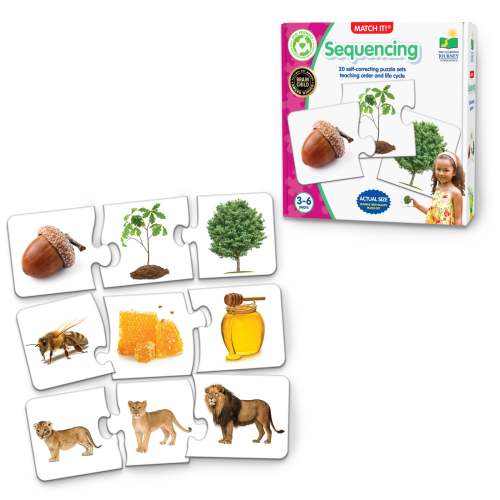 Match It! Sequencing