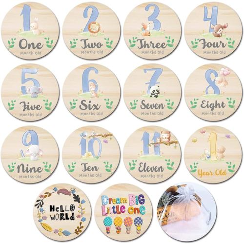Baby Monthly Milestone Cards for Newborn Girl or Boy,Monthly Baby Milestone Newborn Sign Baby Month Anniversary Cards,Baby Shower Cards Come with Organza Gift Bag (Milestone Blocks)