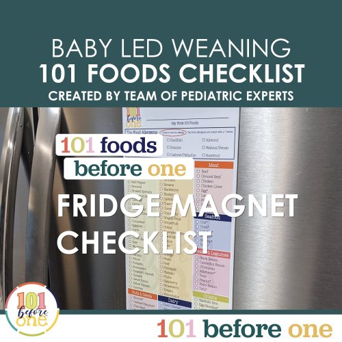 101 Foods Checklist Fridge Magnet for Baby Led Weaning from 101 before one