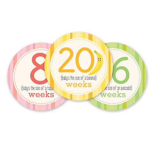 Pearhead Pregnancy Milestone Photo Sharing Belly Stickers