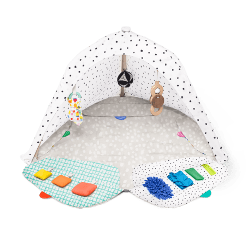 Used Lovevery Play Gym