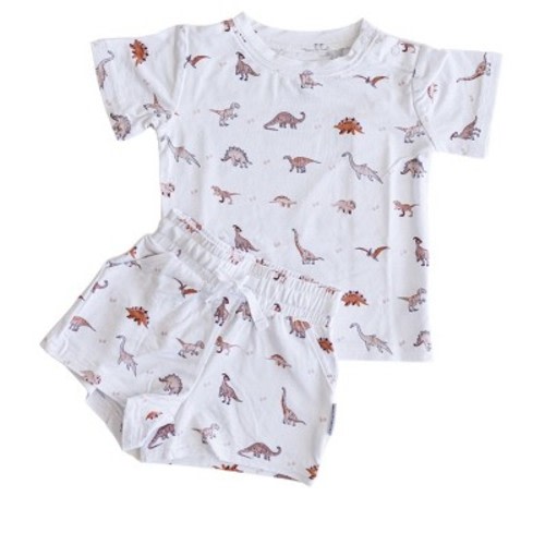 Shorts and T-Shirt Set | Neutral Dinosaurs | Charlie Lou Baby | 3-6M