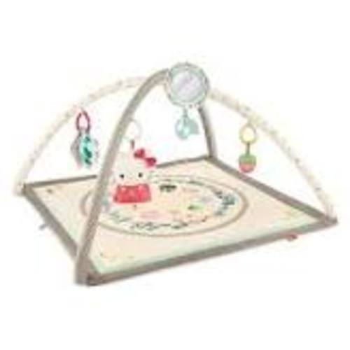fisher price sanrio playmat - Google Search
