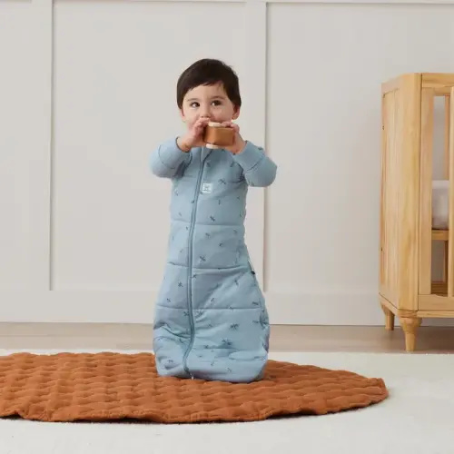 ergoPouch Long Sleeve Jersey Sleeping Bag 2.5 Tog Dragonflies Size 8-24 Months | Baby Bunting AU