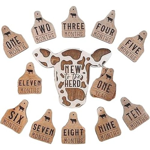 DaMga Highland Cow Baby Monthly Milestone, 13 Pcs Wooden Baby Milestone Cards, Baby Months Signs to Month Set, Cow Babies Gift New to The Herd