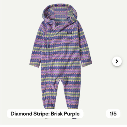 Patagonia Infant Micro D® Fleece Bunting