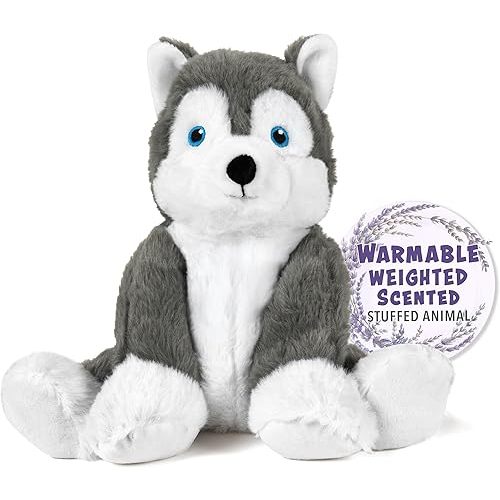 Warm Pals - Hayes Husky - 1.5lbs - Cozy Microwavable Lavender Scented Plush Toys - Heated Stuffed Animal - Heatable Coolable Bedtime Comfort Plushie