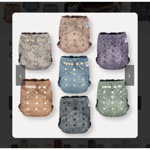 Modern Blooms Diaper Covers