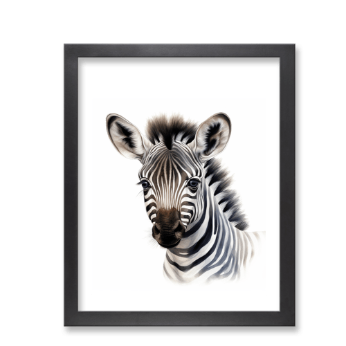 Zebra Life