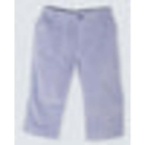 James Slate Corduroy Pull-On Pant FLEURISSE