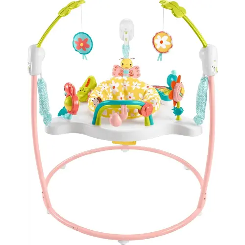 Fisher-Price Baby Bouncer Activity Center Blooming Fun Jumperoo with Music Lights and Developmental Toys for Infants