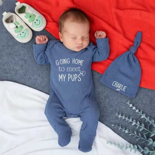 Going Home to Meet My Pups Puppy Bodysuit, Personalized Newborn Dog Lover Outfit, Funny Dog Mom Baby Shower Gift, Pregnancy Reveal