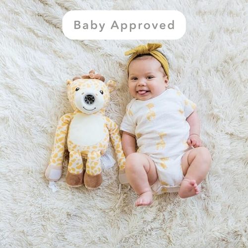 Car Baby Video Monitor Reduces Distracted Driving  (Jordan)