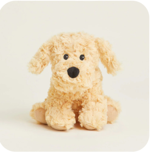 Golden Dog Warmies Junior