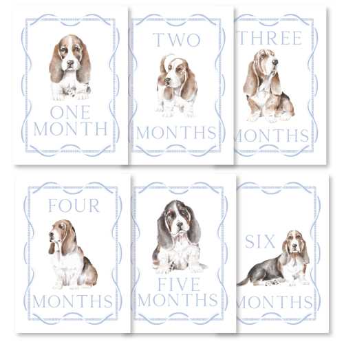 Basset Hound Milestone Cards: First Year Photo Props