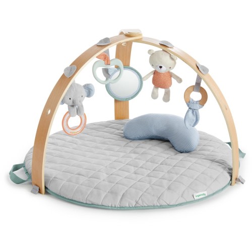 Ingenuity Cozy Spot Reversible Duvet Activity Gym - Loamy