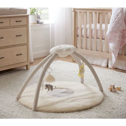 Light-Up & Musical Activity Play Gym