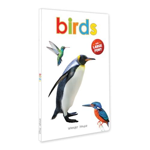 Birds (Big Board Books)