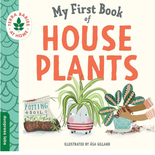 My First Book of Houseplants: A perfect book for summer reading (Terra Babies at Home)