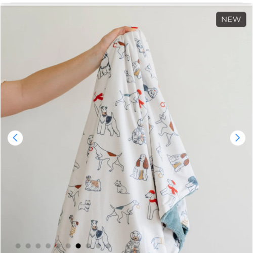 MINKY/LUSH MINI BLANKETS