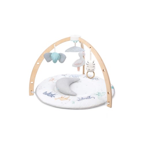 aden + anais Play & Discover Baby Activity Gym, Rising Start