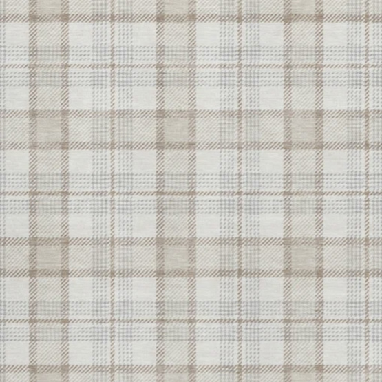 Premium Machine Washable Corum AMF1052 Plaid Rug