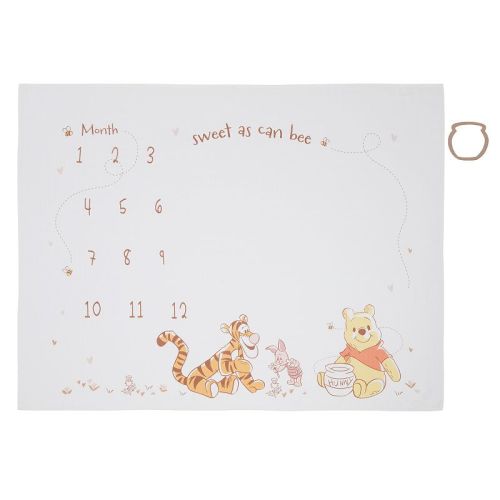 Disney's Winnie the Pooh Milestone Blanket