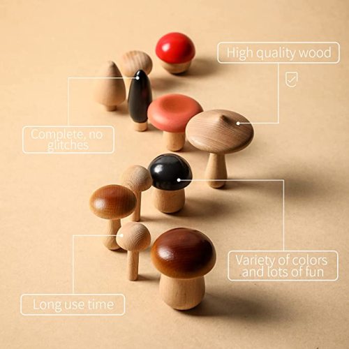 Wooden Mushroom Toy
