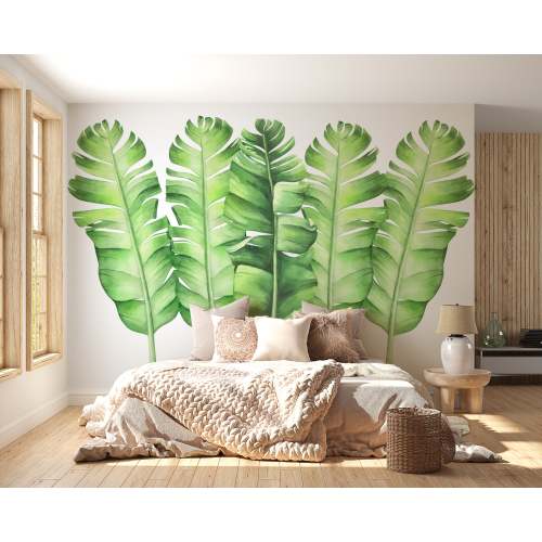 Set of Large Banana Leaves