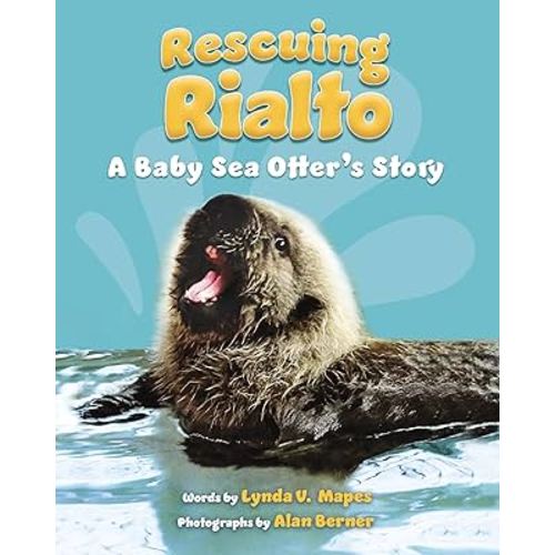 Rescuing Rialto: A Baby Sea Otter's Story