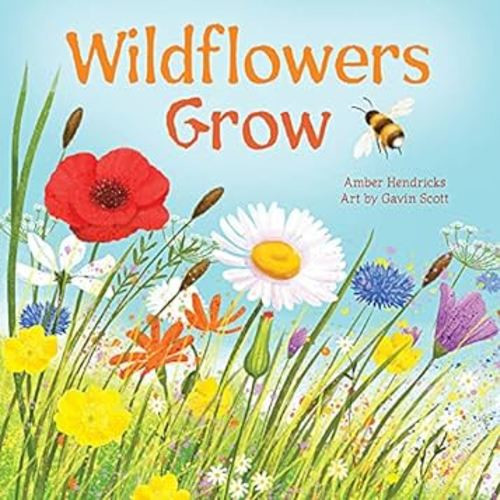 Wildflowers Grow (Little Nature Explorers)