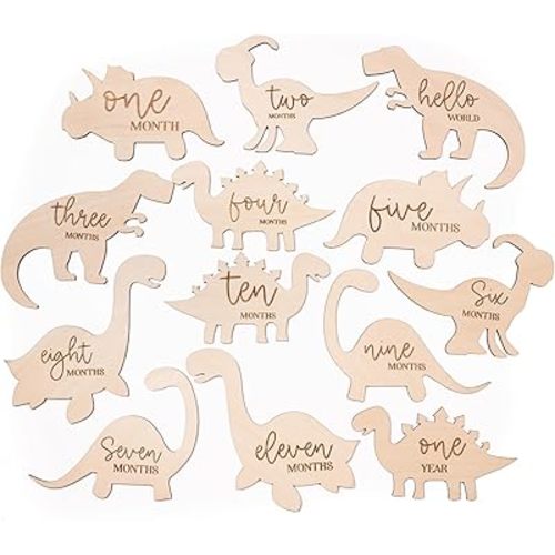Dinosaur Baby Monthly Milestone, Wooden Baby Milestone Signs, Monthly Milestone Wood Discs, Baby Milestone Discs (S010)