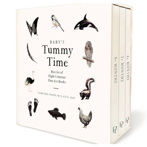 Baby's Tummy Time Book Box Set: A 3-Book Box Set of High-Contrast Art for Visual Stimulation at Tummy Time (Our Little Adventures Series)