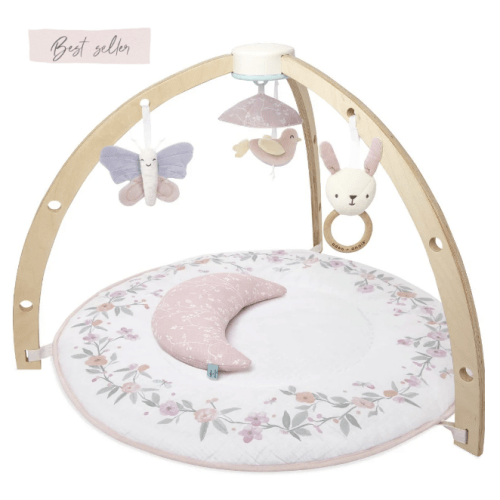 Baby Gym | Premium Baby Activity Gym | aden + anais