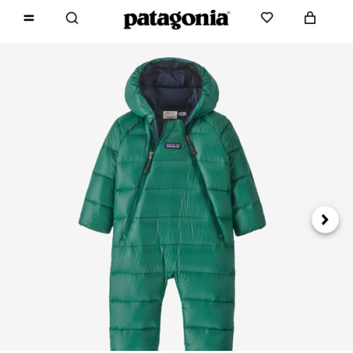 Patagonia Infant Hi-Loft Down Sweater™ Bunting