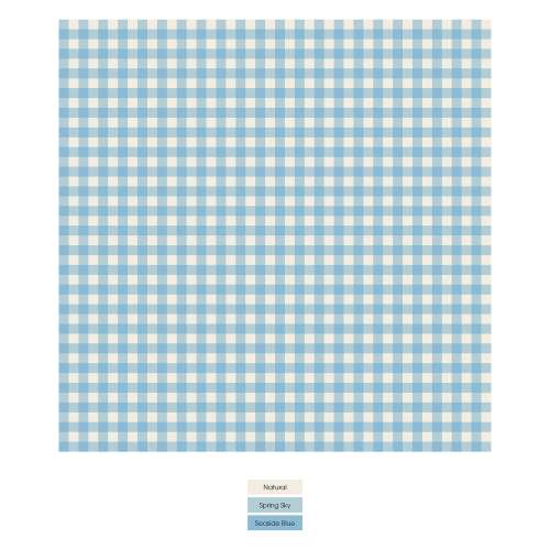 Print Footie with 2 Way Zipper in Seaside Blue Gingham 18-24M
