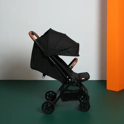 Travel Stroller for airplane