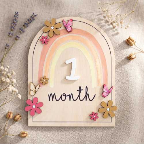 Double Sided Milestone Set | Reversible Boho Rainbow Wood Disc | 3D Butterfly Monthly Card | Custom Baby Girl Nursery Prop