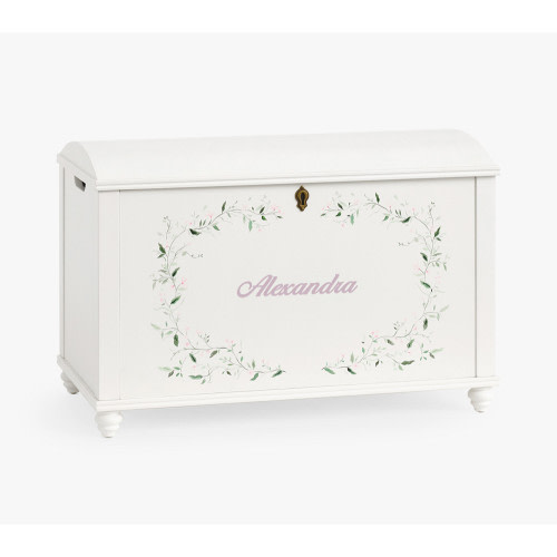 Painted Toy Chest (31")