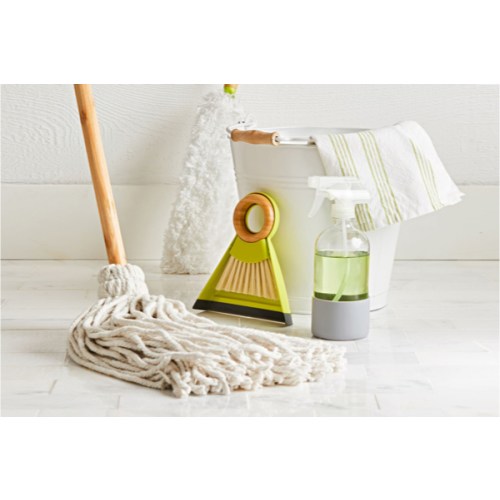 Funds for a Professional House Cleaning Service