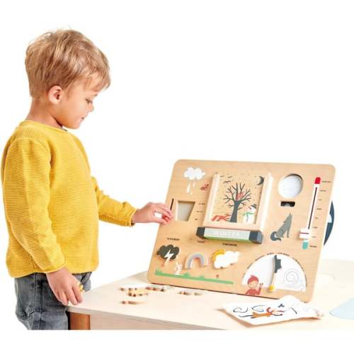 Weather Watch - Tender Leaf Toys | Maisonette
