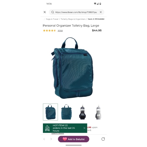 Personal Organizer Toiletry Bag, Large
