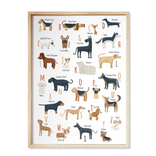 Printable ABC dogs breeds, Dachshund, Basset Hound, dog Alphabet for Dog lover, Dog poster, A to Z dog alphabet, printable dog wall art