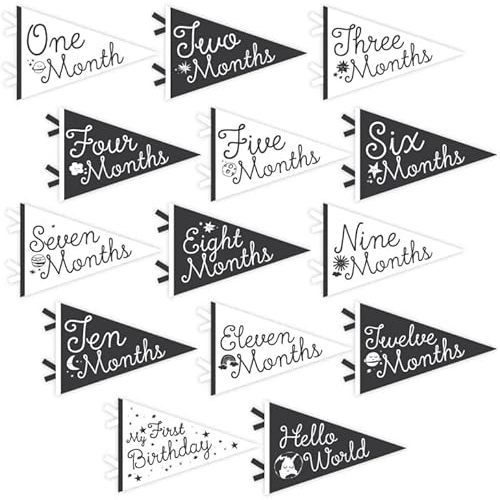 Lucy Darling Petit Milestone Pennants, 12 Felt Baby Monthly Milestone Banners for Baby Girl & Boy, Newborn Photography Props & Decor, Felt Pennant Flags, Perfect Baby Shower Gifts (Little Stargazer)
