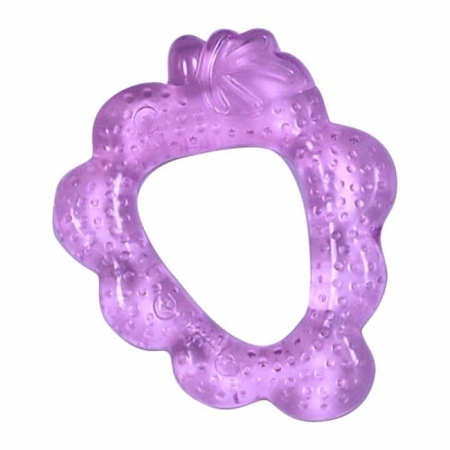 Green Sprouts Cool Fruit Teether
