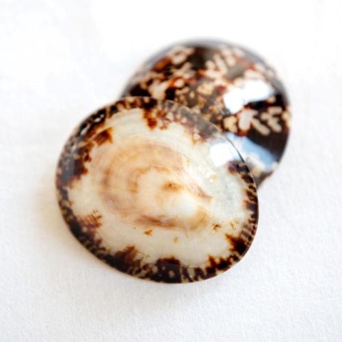 Breastfeeding Seashells Natural Nipple Soothers