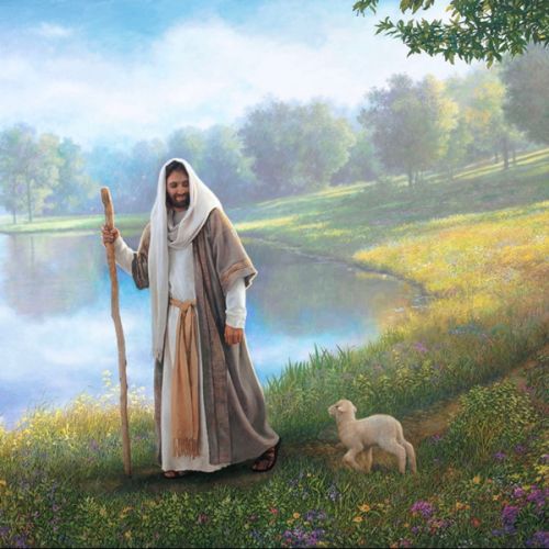 Little Lamb by Greg Olsen (8x10)